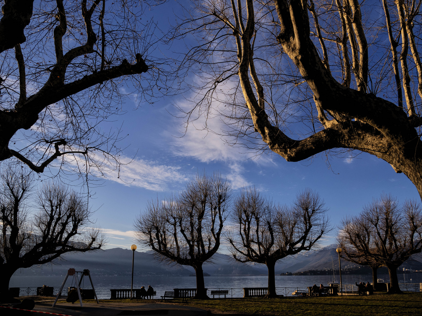 I platani di Cerro in Laveno