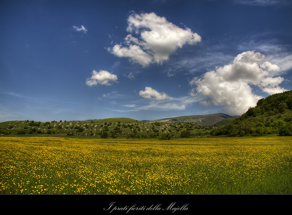 I prati fioriti della Majella