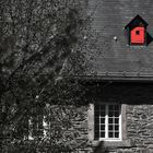 I see a red door and I want it painted black...