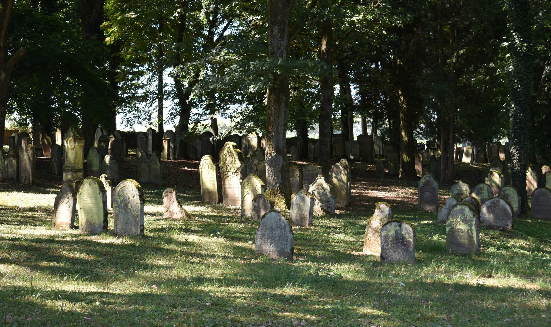 I see the darkness - jüdischer Friedhof (3)