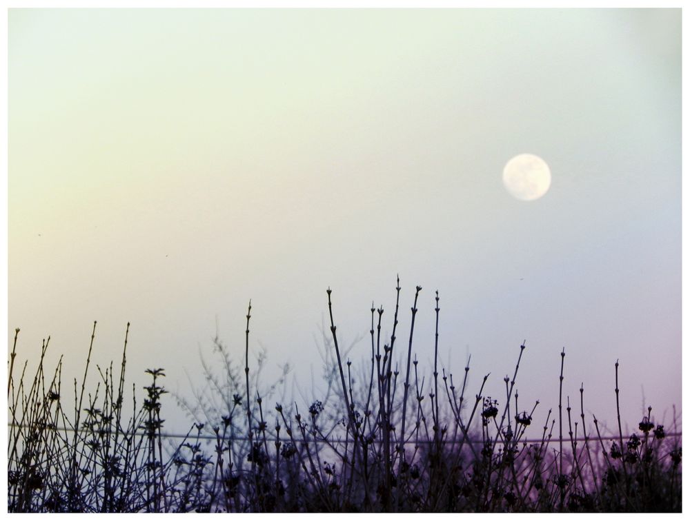 ..i segreti della luna