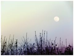 ..i segreti della luna