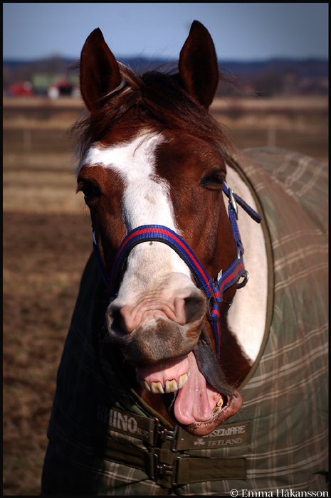 I smiiiile for you mommy!