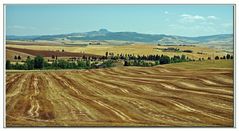 i" tatami "della val d' orcia....