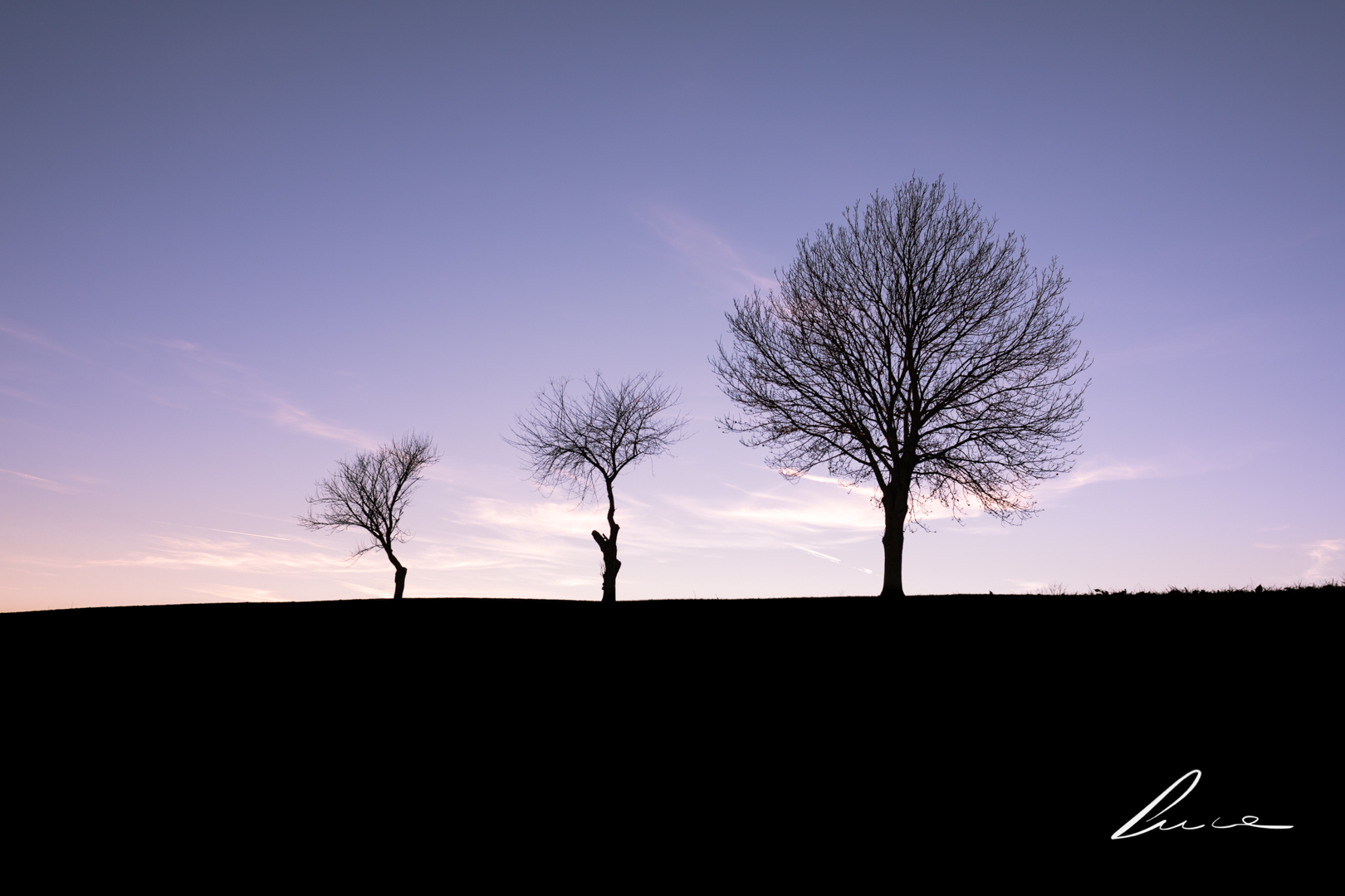 I tre alberi