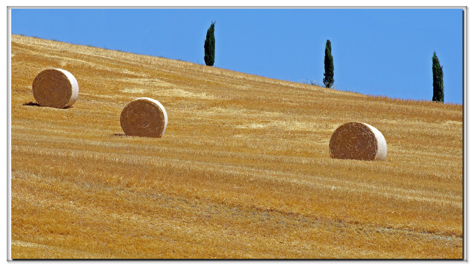 i tre C......della val d orcia