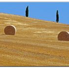 i tre C......della val d orcia