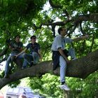 I tre sulla quercia