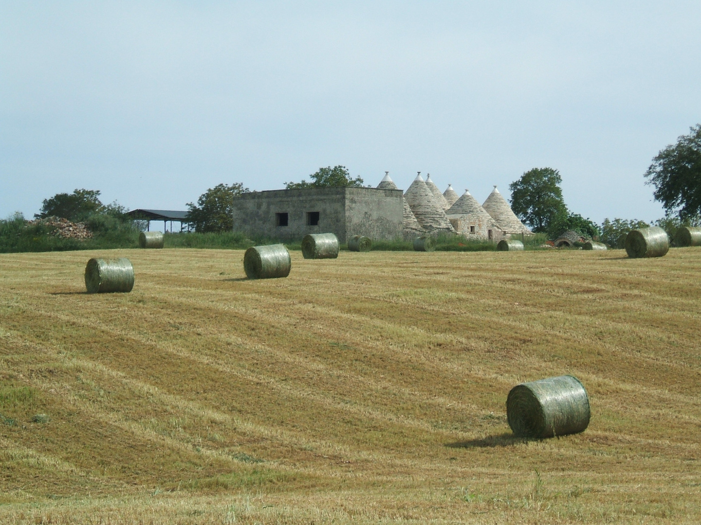 I trulli che non vedi spesso....