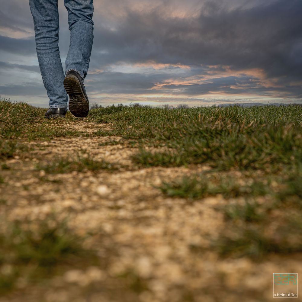 I walk the line   -    Ein Weg entsteht wenn man ihn geht.