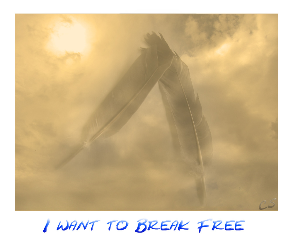 I want to Break Free