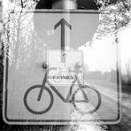 I want to ride my bicycle