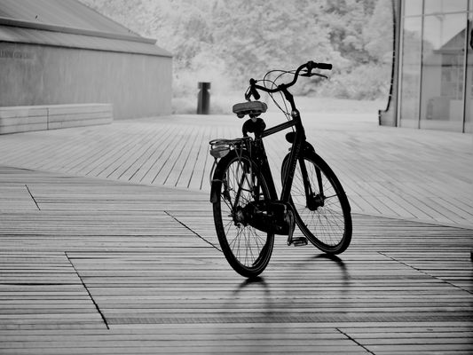 "I want to ride my bicycle"