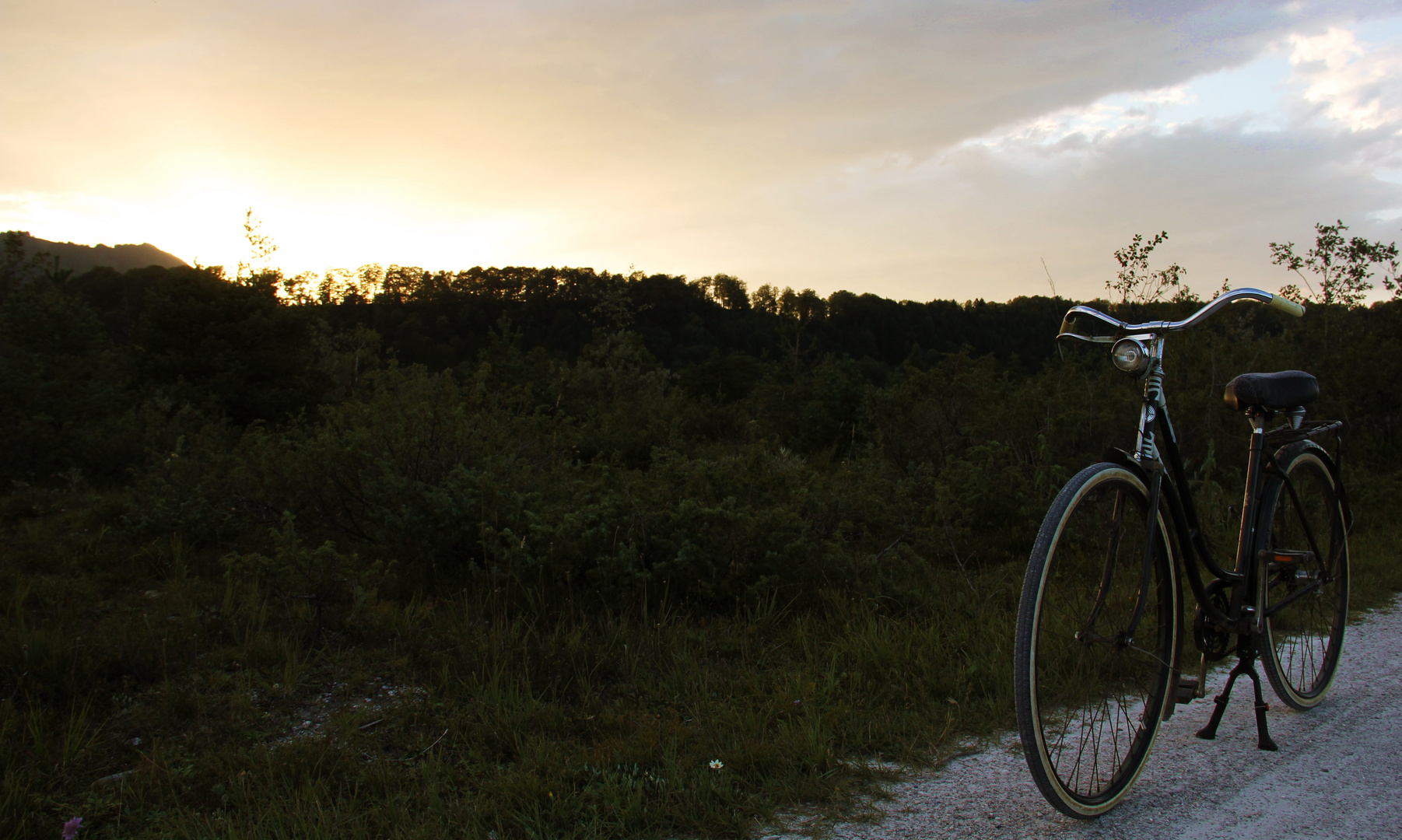 I want to ride my bicycle I want to ride my bike... :)