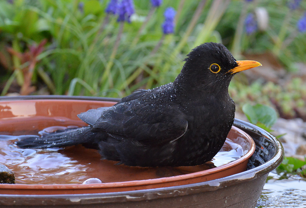 ...I was taking a bath.