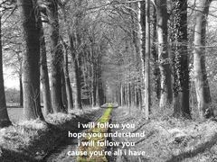 i will follow you