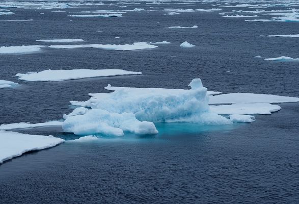 i2B diary 2025-08-18