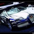 IAA 2011 [III]