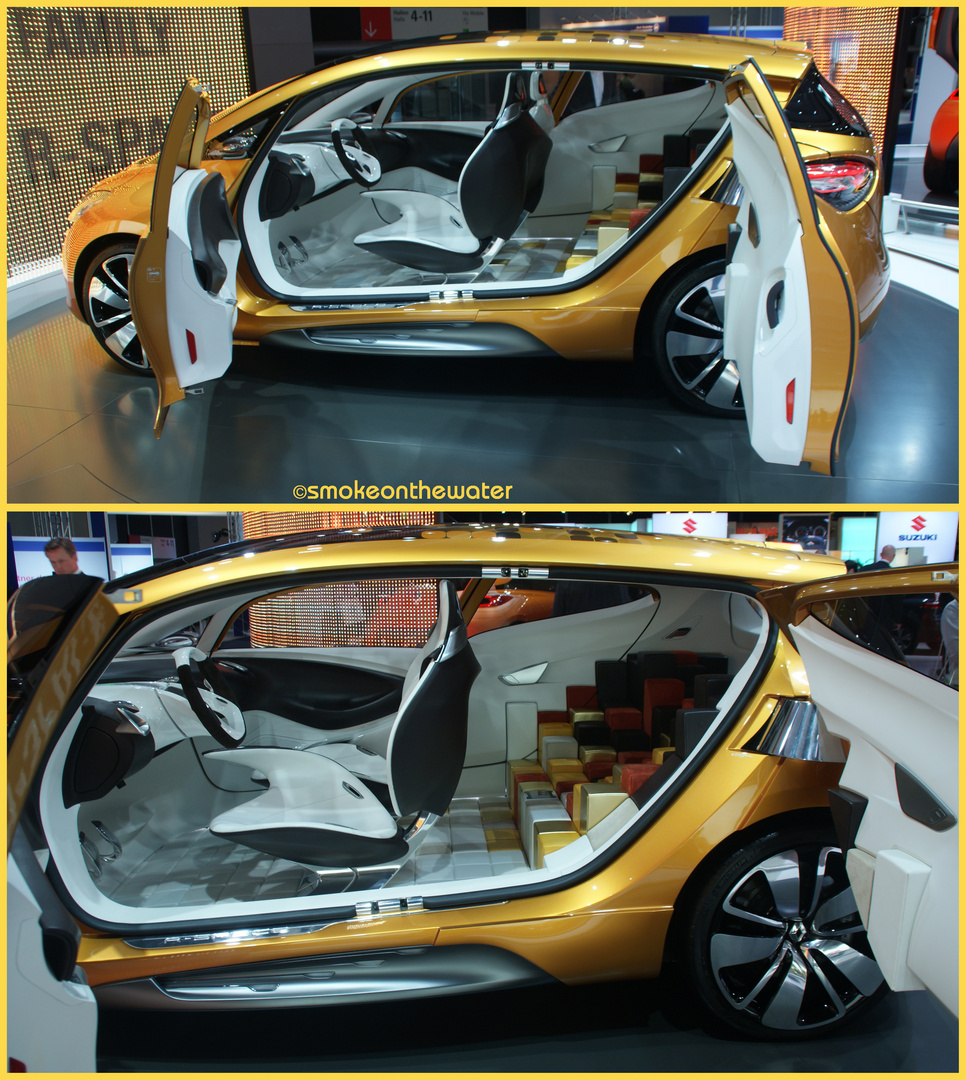 IAA 2011: Renault R-Space Concept Car