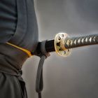Iaido Schwertkämpfer