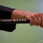 iaido Stage Juni 2012 .2