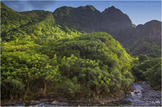 Iao Valley 1