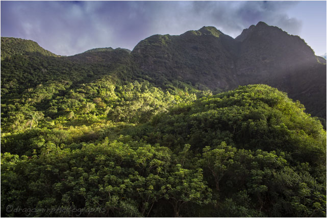 Iao Valley 2