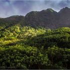 Iao Valley 2