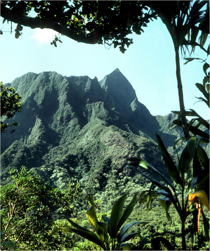 Iao Valley