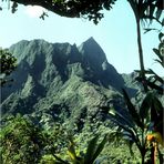 Iao Valley