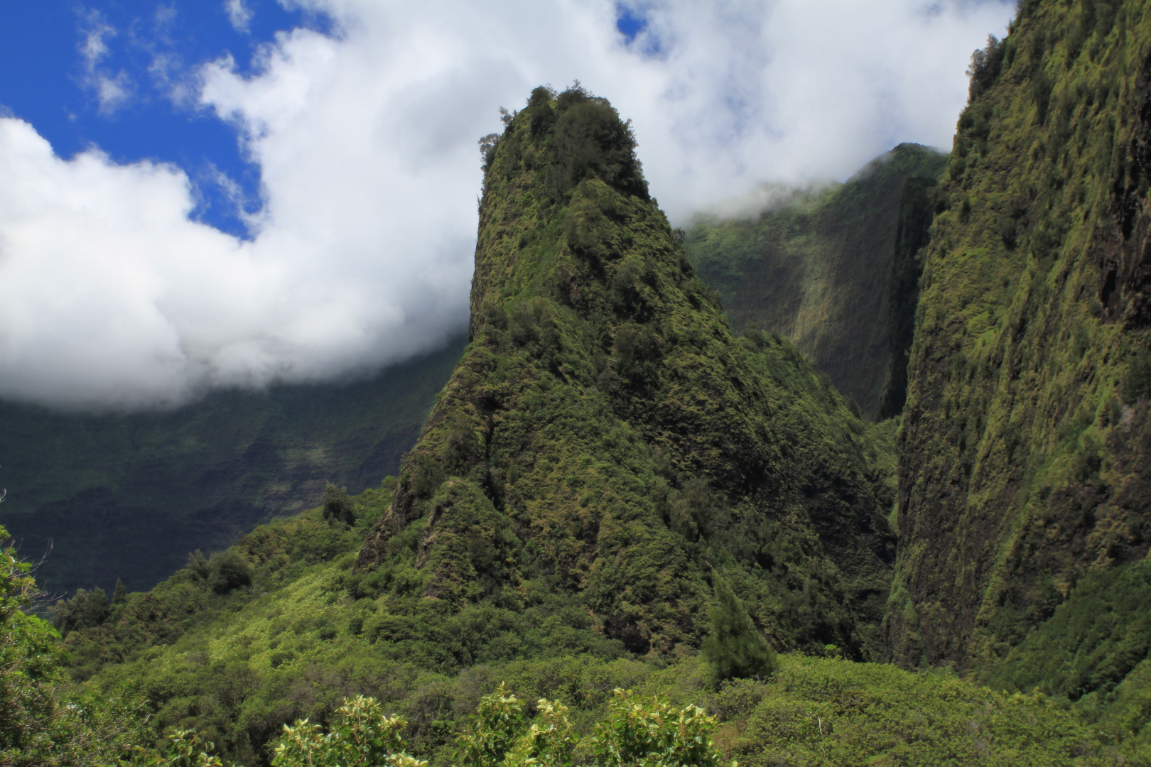 Iao Valley