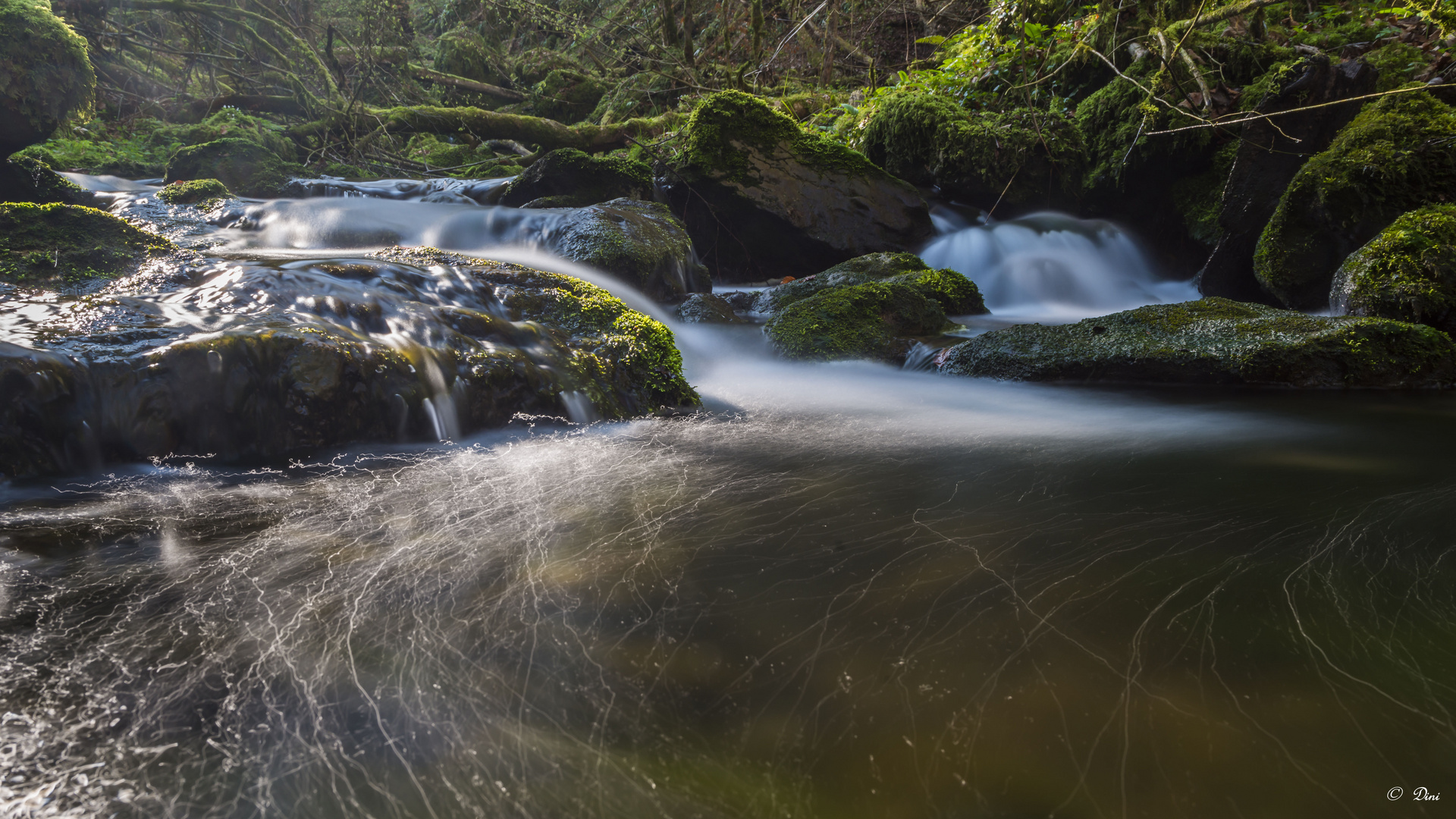 Ibach Foto & Bild europe, schweiz & liechtenstein, landschaft Bilder