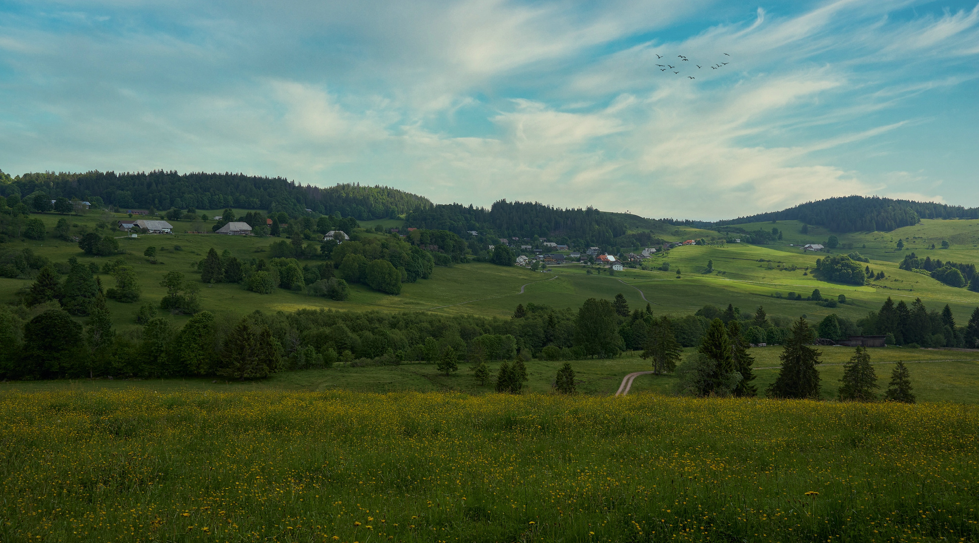 Ibach im Hotzenwald