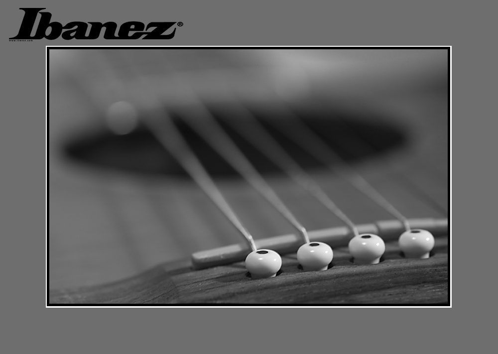 Ibanez Acoustic