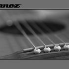 Ibanez Acoustic