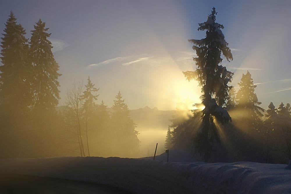 Ibergeregg Aussicht im Gegenlicht