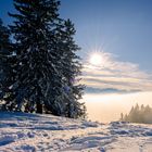 Ibergeregg im Schnee, Blick auf Fronalpstock