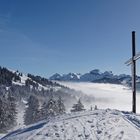 Ibergeregg (nähe Alp Zwäcken)