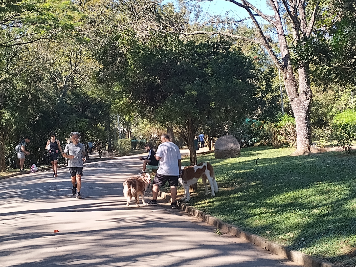 Ibirapuera park