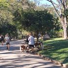 Ibirapuera park