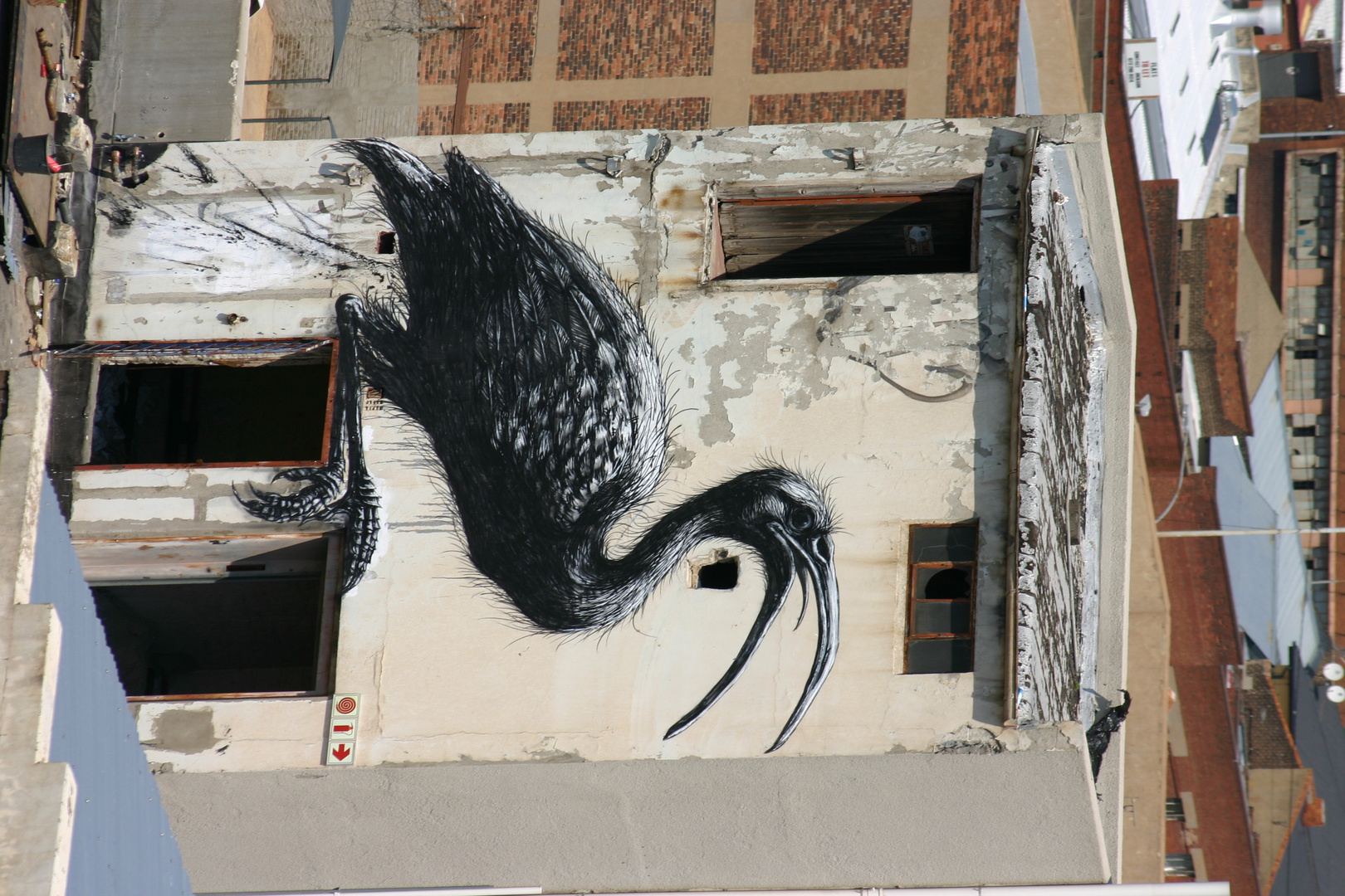 Ibis Bird Graffiti