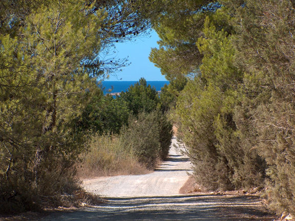 Ibiza countryside - road to San Antonio