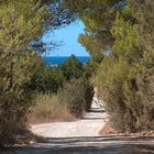 Ibiza countryside - road to San Antonio