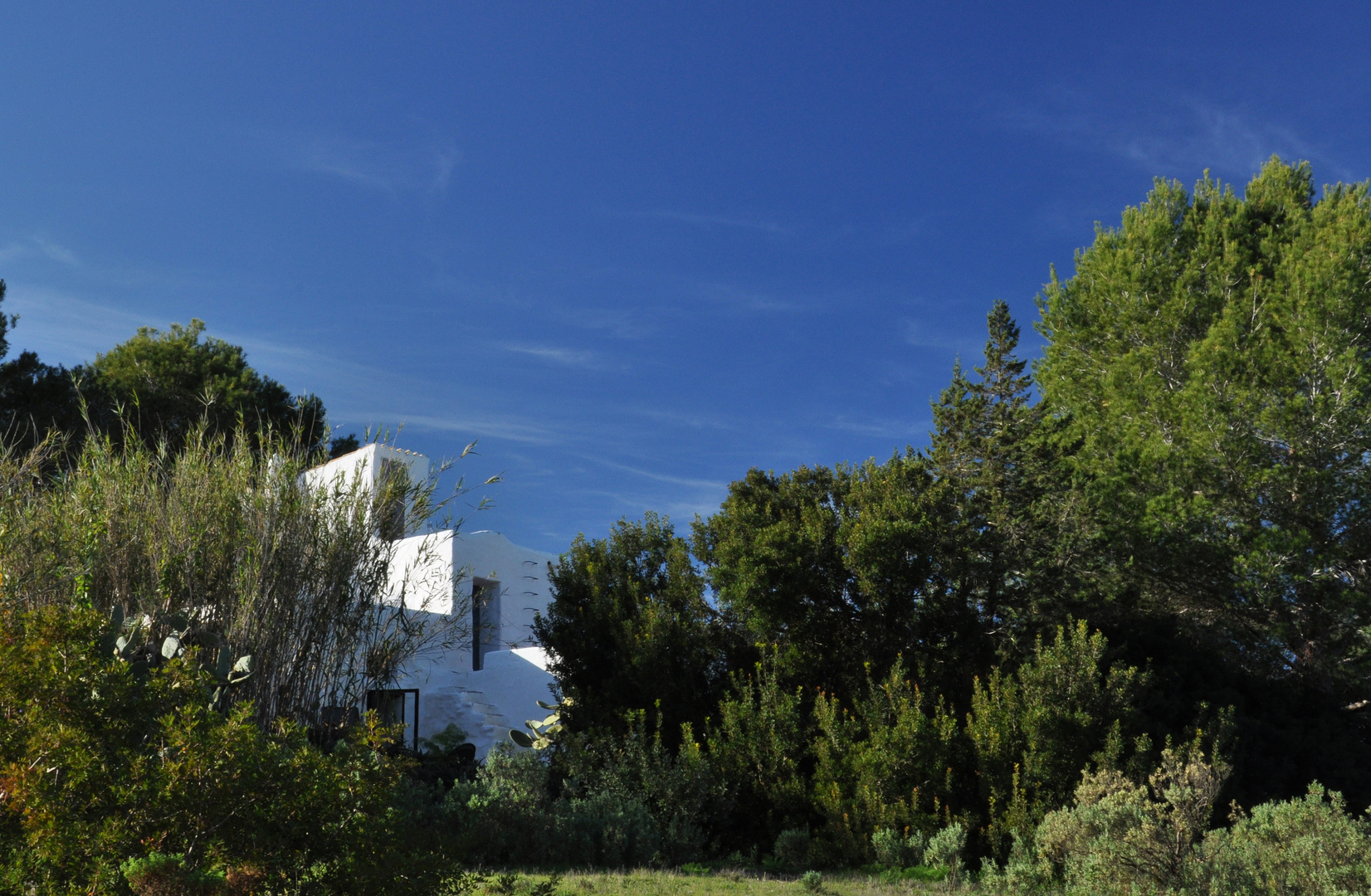 Ibiza: Finca rustica