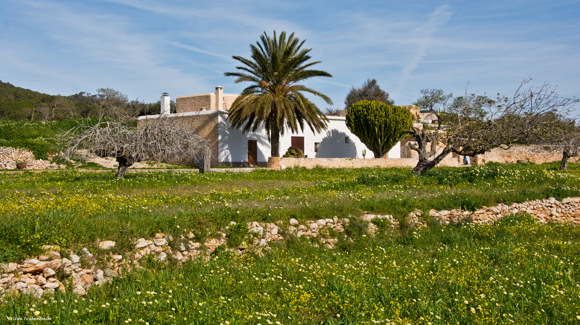 Ibiza / im Tal von Santa Agnès de Corona