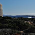 Ibiza: La Torre de ses Portes