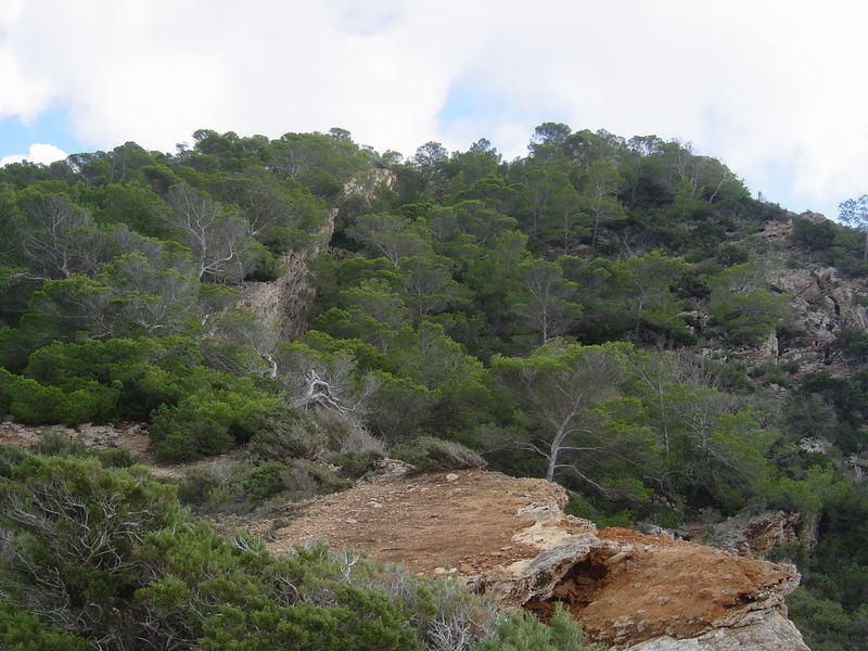 IBIZA MONTAÑA