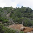 IBIZA MONTAÑA