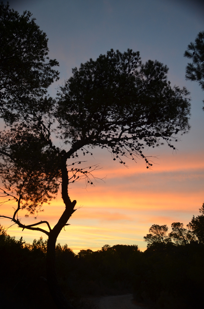 Ibiza, Portinatx