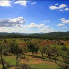 ibiza rural